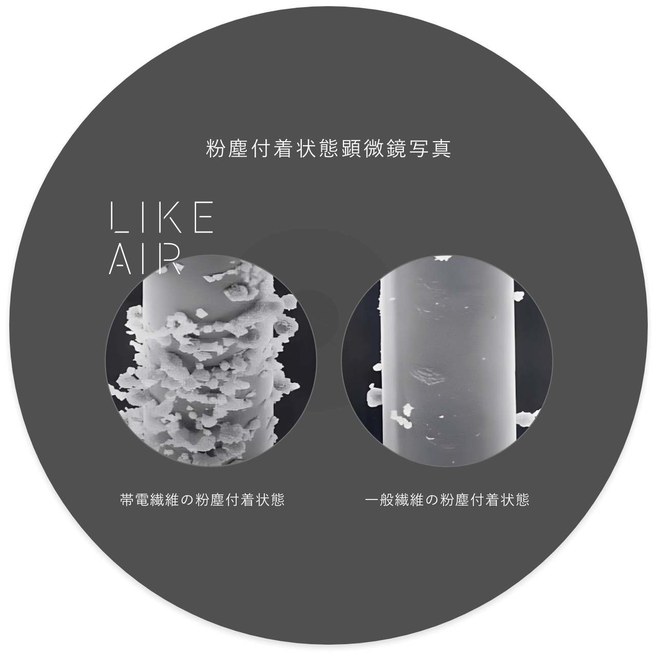 粉塵付着状態顕微鏡写真